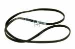 Poly v belt J - C00315247 481235818206 Belt Pv 1236 J4 El [Whirlpool Indesit]