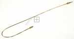 Thermocouple - 230100015 C00867350 Thermocouple*long*600mm [Arcelik]