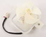 Kuppersbusch Teka Ventilator Motor - 81634487 Assembly Fan Freezer Dc Ci3 350nf Eu