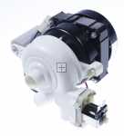 Circulating Motor - 1016945 Circulation Pump [Amica]